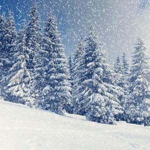 eSliproser Postcards