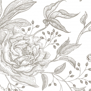 eSliproser Postcards