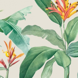 eSliproser Postcards