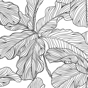 eSliproser Postcards