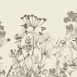 eSliproser Postcards