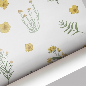 eSliproser Postcards